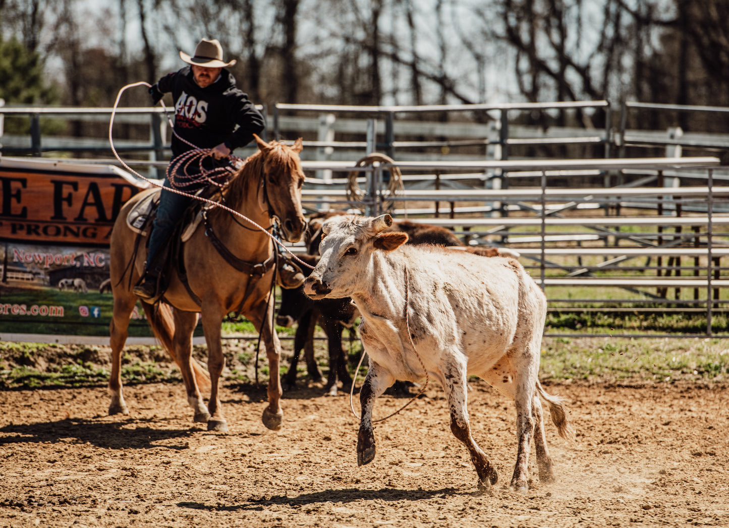 Book Dalton Darnell