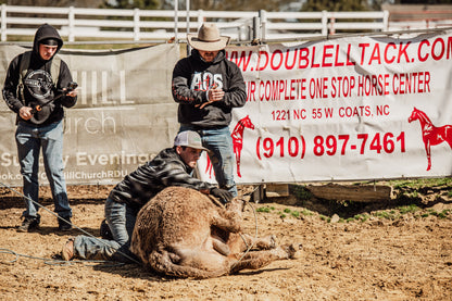 Book Dalton Darnell